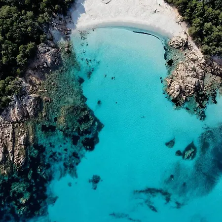 Villa Esmerea Portocervo Con Piscina Privata ,jacuzi E Sauna By Italian Luxury Sea